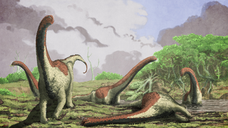 These Newly-Discovered Titans Once Stomped Around Africa